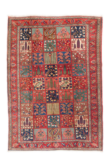 SH Sameyeh Collection